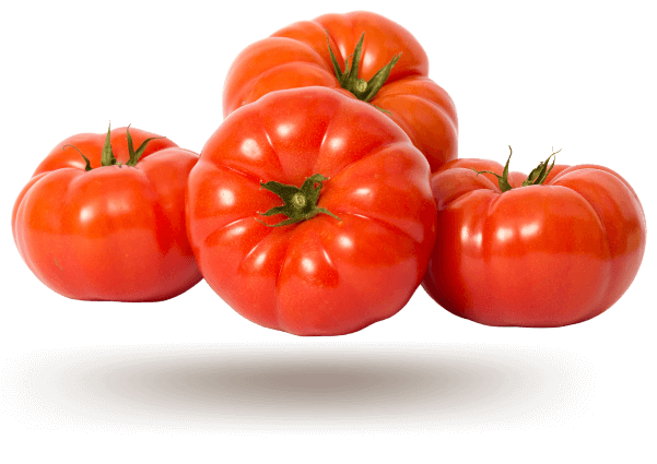 beef-tomato-demo