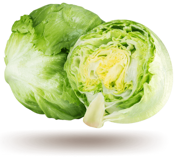 iceberg-lettuce-demo