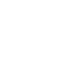 insignia