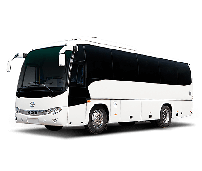 Executive Coach