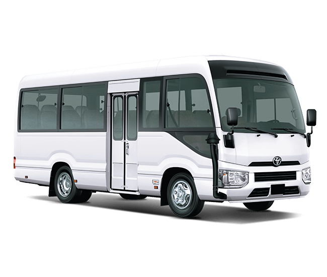 Executive Coach